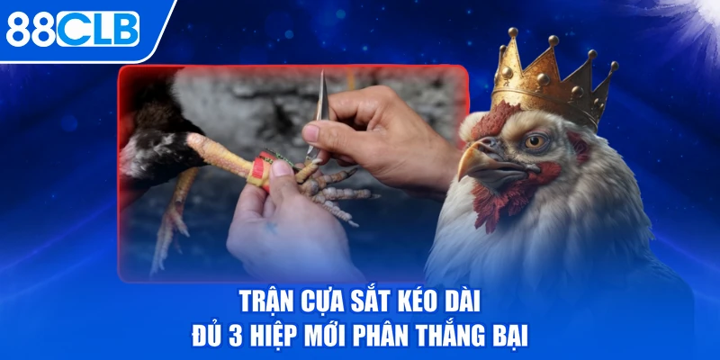 Trận cựa sắt kéo dài đủ 3 hiệp mới phân thắng bại