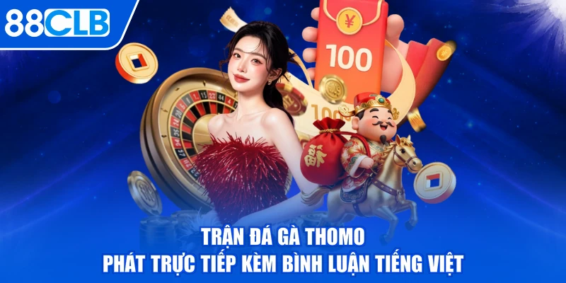 Trận đá gà Thomo phát trực tiếp kèm bình luận tiếng Việt
